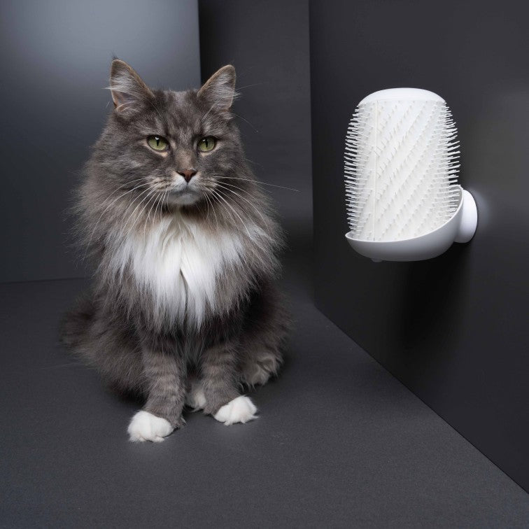 Groomatic ® | Die automatische Fellbürste für Katzen - groomatic