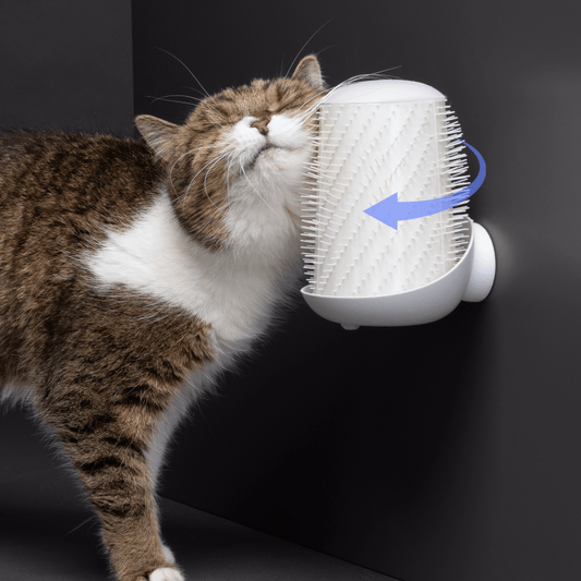 Groomatic ® | Die automatische Fellbürste für Katzen - groomatic